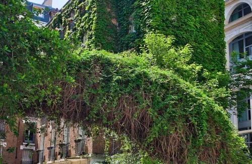 Champs-Elysees Apartment | 703 Suite Université - Superb apartment in Paris