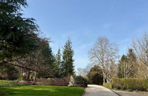 Vert House | La Cabane Perchée