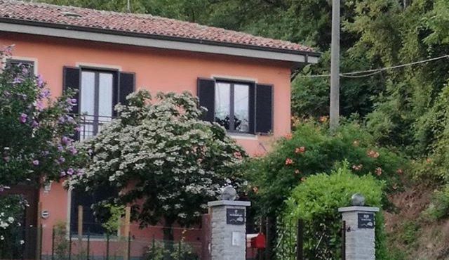 Le rose di Mapi in Mango