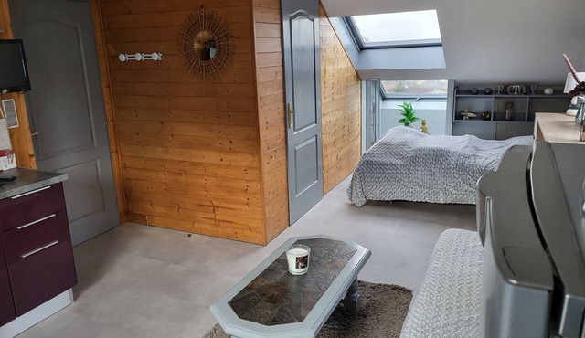 Nice studio epinal