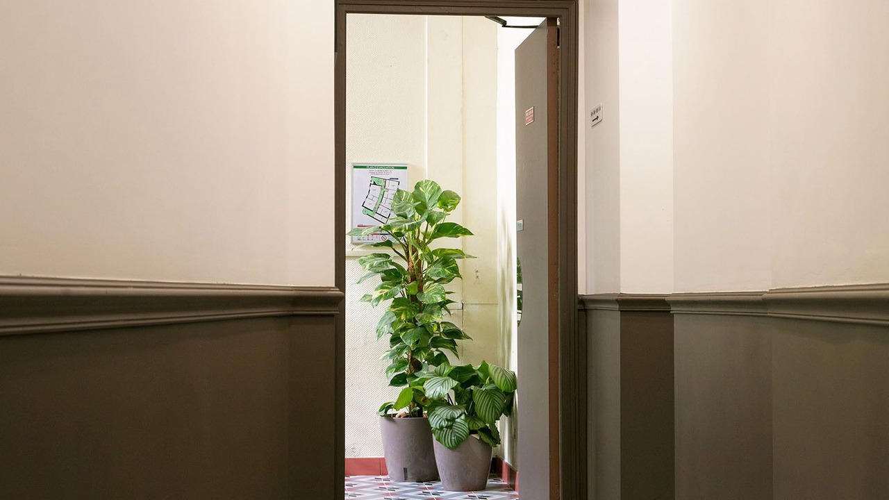Photo of Patio Balcony in Maisons-Alfort